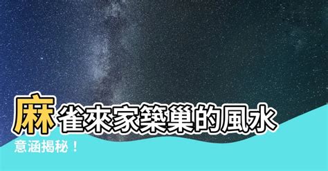 如何讓麻雀不要來築巢|請問如何防止麻雀在家裡築巢？